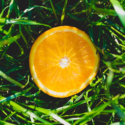 Naranjas de Mesa